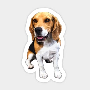 Beagle Dog Art Sticker